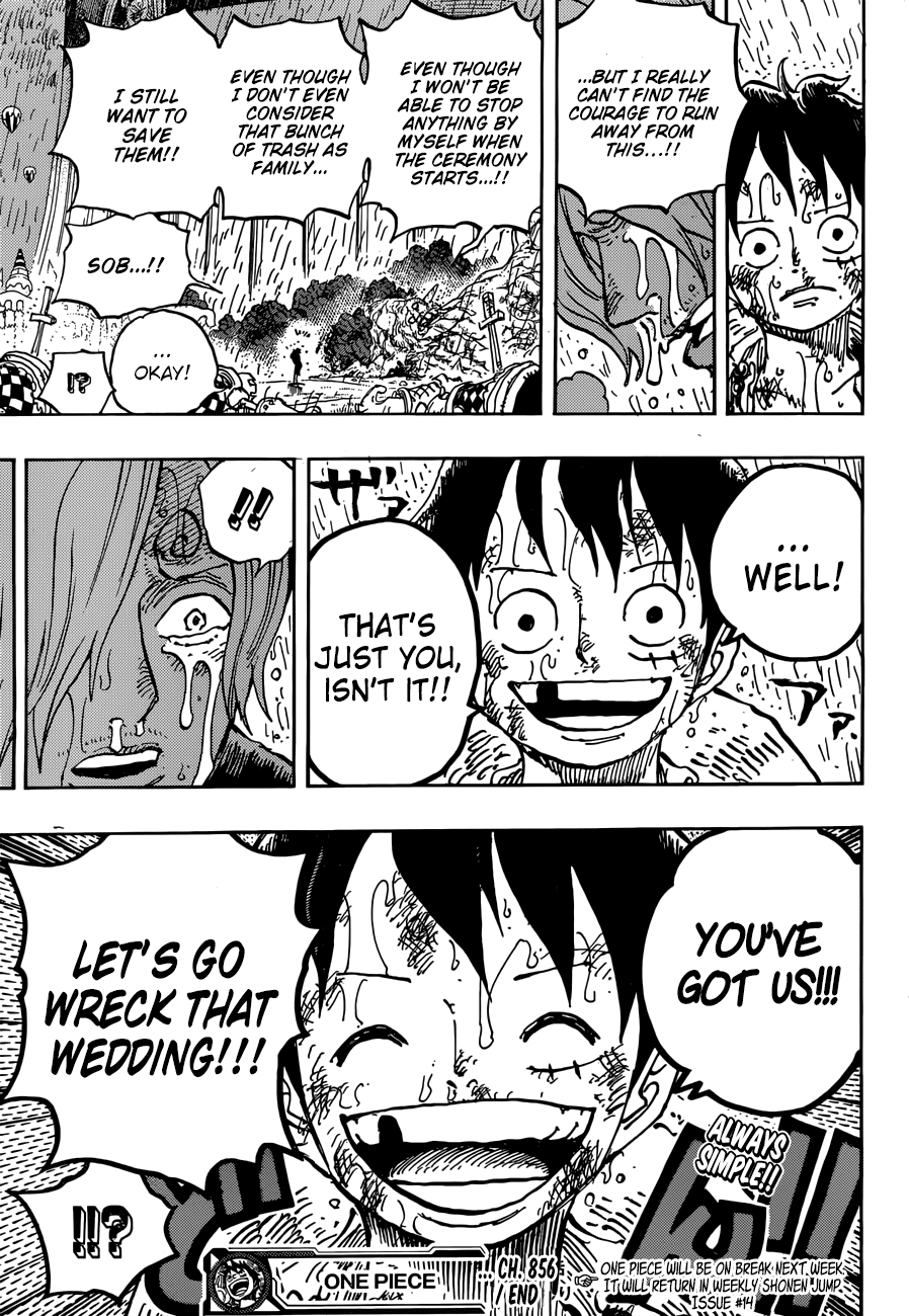 One Piece, Chapter 856 image 18